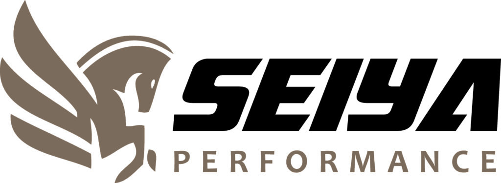 Seiya Performance